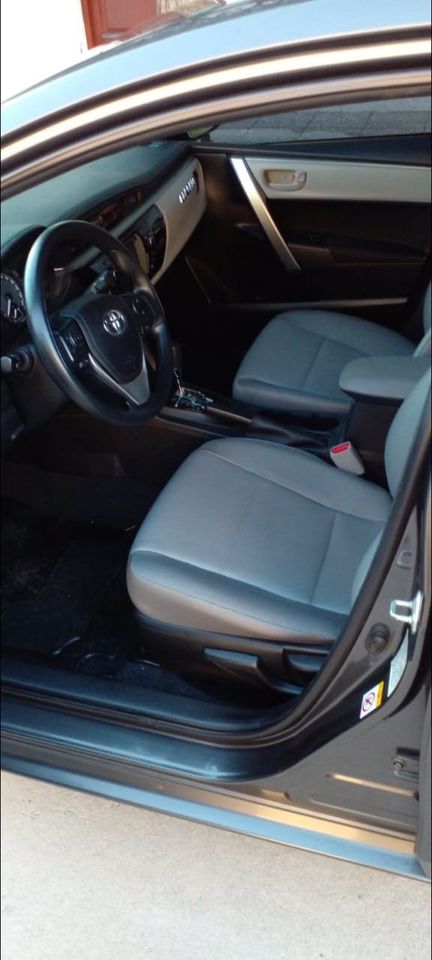 453887889_1868288173671097_7237498045859337561_n