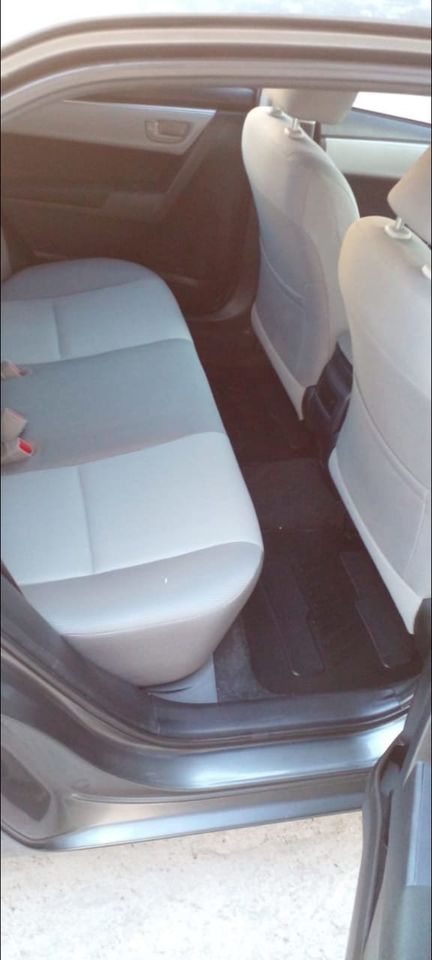 454238231_2687522574753109_1252052520900661053_n